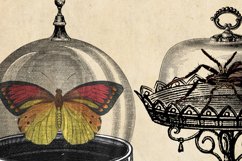 Vintage Display Cases Clipart Product Image 3