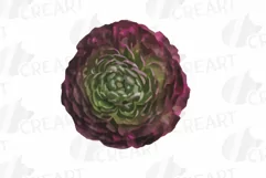 Watercolor bridal flowers on summer berry colors clip art Product Image 25