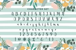 Web Font Primula Product Image 3
