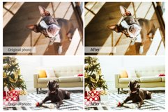 20 Lovely Pets Presets,Photoshop actions,LUTS,VSCO Product Image 3