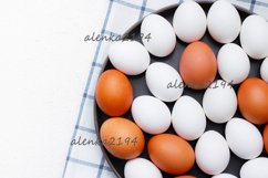 Chicken Eggs Series Product Image 9