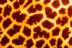 Animal Skin Pattern Background Product Image 1