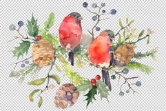 Christmas bouquet with bullfinch Watercolor png Product Image 2