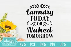 Funny Laundry Room SVG | Farmhouse Sign | Naked Tomorrow Product Image 2