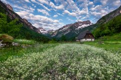 Meadows in the mountains Product Image 1