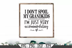 I Don't Spoil My Grandkids I'm Just Very Accommodating SVG Product Image 1