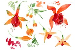 Orange Fuchsia Watercolor png Product Image 1