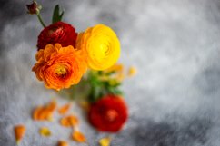 Summer floral card concept with bright flowers of ranunculus Product Image 1
