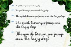 Web Font Amerizana Product Image 3