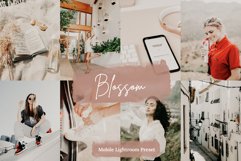 Blogger Collection Lightroom Mobile &amp; Desktop Preset Product Image 5