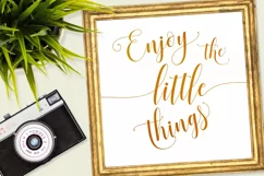 Sadhira Script Calligraphy Typeface - Free Font of The Week Product Image 10