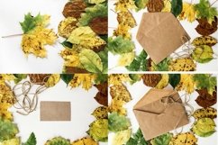 Autumn Card Paper Craft Envelope and Backgrounds Bundle Product Image 7