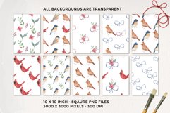 Christmas Birds Watercolor Seamless Patterns Digital Product Image 2
