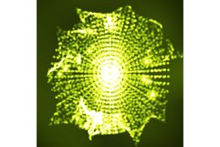 Futuristic Technology Style. Flying Point Debrises. Blured Product Image 1