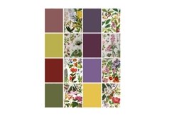 Vintage Botanical Full Page Floral Sheets 8.5 x 11, PDF Product Image 2
