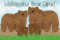 Watercolour, Bear, Animal, Animal Family, Brown bear, Bears, Product Image 1