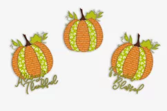 Thanksgiving Set of 3 Pumpkins, Sublimation Designs Product Image 2