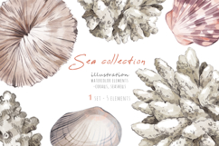 Watercolor sea collection - coralls, seashells. Nautical set Product Image 1