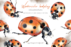 Watercolor ladybug, lady-cow, lady-beetle, png set, pattern Product Image 1