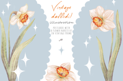 Postcards with flower daffodil or narcissus in vintage frame Product Image 1