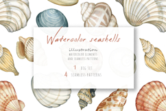 Watercolor hand drawn realistic seashells Product Image 2