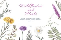 Wildflowers and herbs hand drawn collection. Floral elements Product Image 1