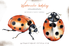 Watercolor ladybug, lady-cow, lady-beetle, png set, pattern Product Image 2