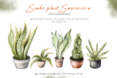 Watercolor snake plants Sansevieria in house flower pot Product Image 2