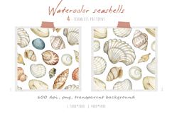 Watercolor hand drawn realistic seashells Product Image 3