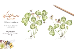 Watercolor wildflower clover and bumblebees. Patrick's day Product Image 2