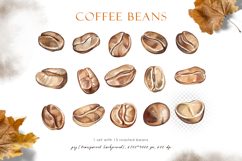 Watercolor roasted coffee beans, png clipart, patterns Product Image 2