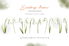 Watercolor snowdrops flowers, beautiful spring illustration Product Image 2