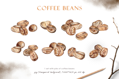 Watercolor roasted coffee beans, png clipart, patterns Product Image 3