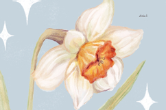 Postcards with flower daffodil or narcissus in vintage frame Product Image 3