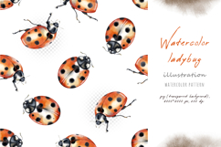 Watercolor ladybug, lady-cow, lady-beetle, png set, pattern Product Image 3