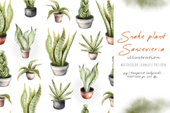 Watercolor snake plants Sansevieria in house flower pot Product Image 3