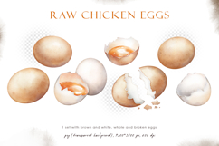 Watercolor brown and white raw chicken eggs set Product Image 3