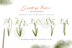 Watercolor snowdrops flowers, beautiful spring illustration Product Image 3