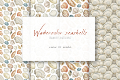 Watercolor hand drawn realistic seashells Product Image 5
