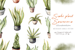 Watercolor snake plants Sansevieria in house flower pot Product Image 4