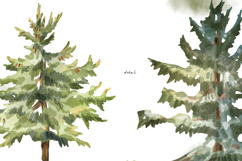 Watercolor coniferous trees - spruce, pine Product Image 4