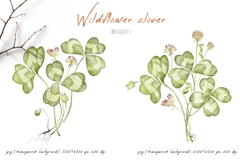 Watercolor wildflower clover and bumblebees. Patrick's day Product Image 4