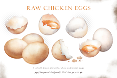 Watercolor brown and white raw chicken eggs set Product Image 4
