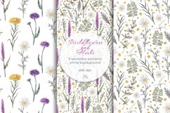 Wildflowers and herbs hand drawn collection. Floral elements Product Image 4