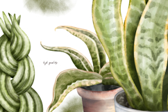 Watercolor snake plants Sansevieria in house flower pot Product Image 5