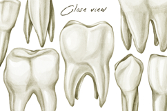 Realistic watercolor teeth Product Image 5