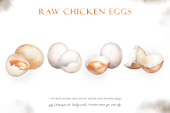 Watercolor brown and white raw chicken eggs set Product Image 5
