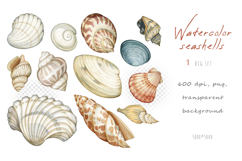 Watercolor hand drawn realistic seashells Product Image 6