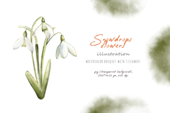 Watercolor snowdrops flowers, beautiful spring illustration Product Image 6
