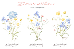 Watercolor simple elegant wildflowers in pastel colors Product Image 6